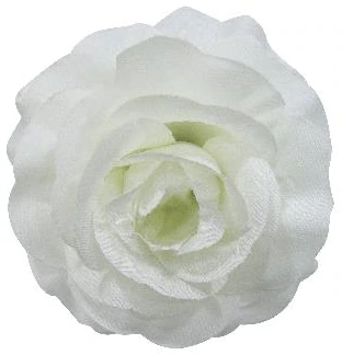 Rose Open Big